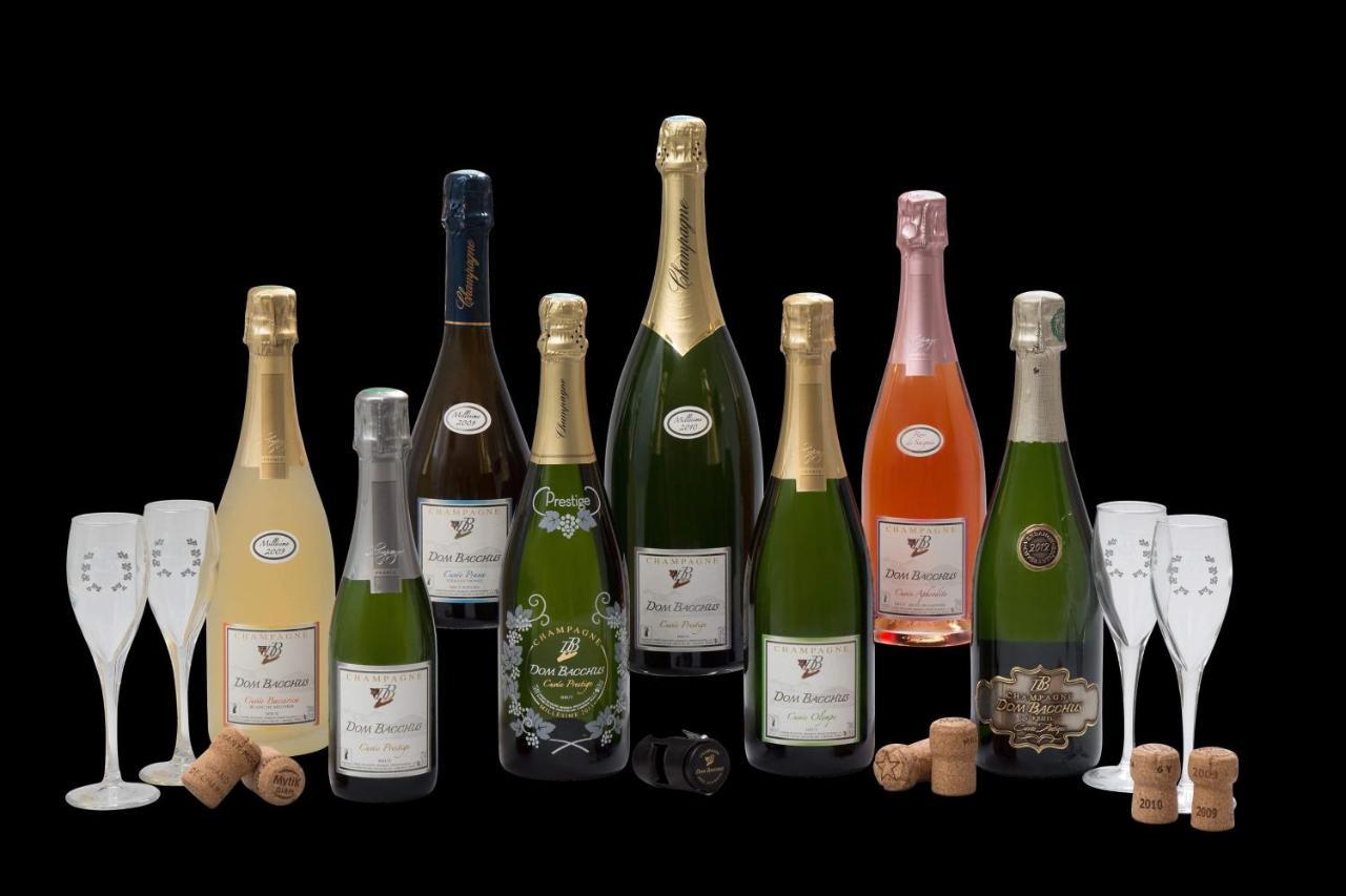 Domaine Bacchus Bed and Breakfast Reuil-sur-Marne Buitenkant foto