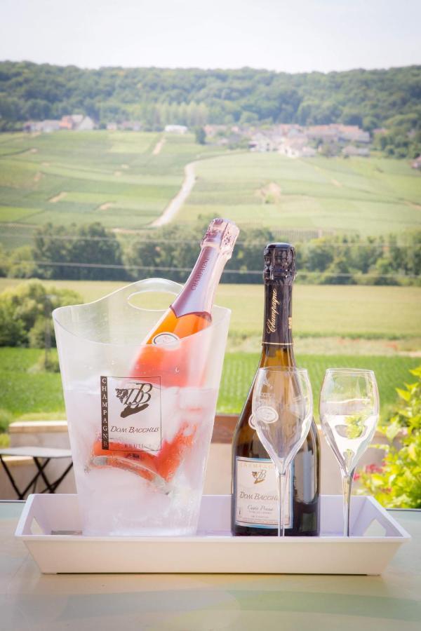 Domaine Bacchus Bed and Breakfast Reuil-sur-Marne Buitenkant foto