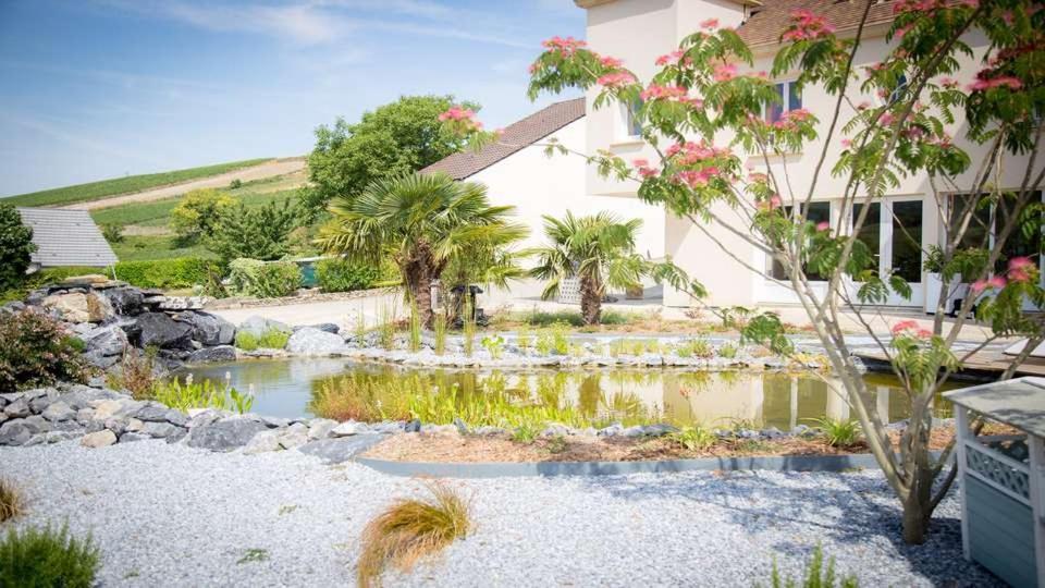 Domaine Bacchus Bed and Breakfast Reuil-sur-Marne Buitenkant foto