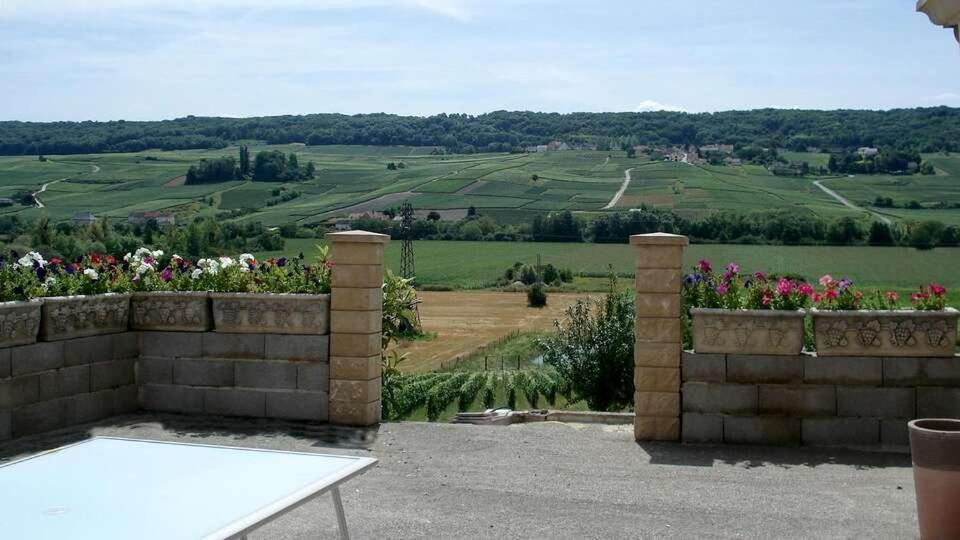 Domaine Bacchus Bed and Breakfast Reuil-sur-Marne Buitenkant foto
