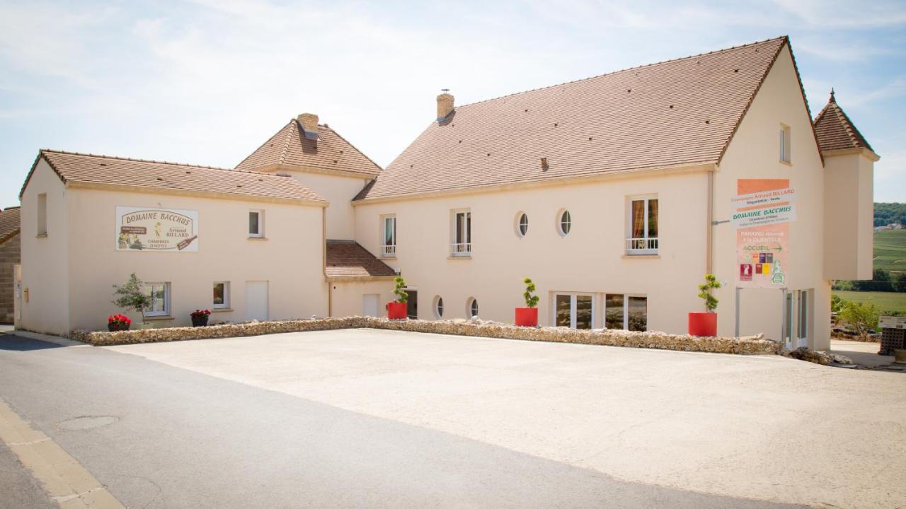 Domaine Bacchus Bed and Breakfast Reuil-sur-Marne Buitenkant foto