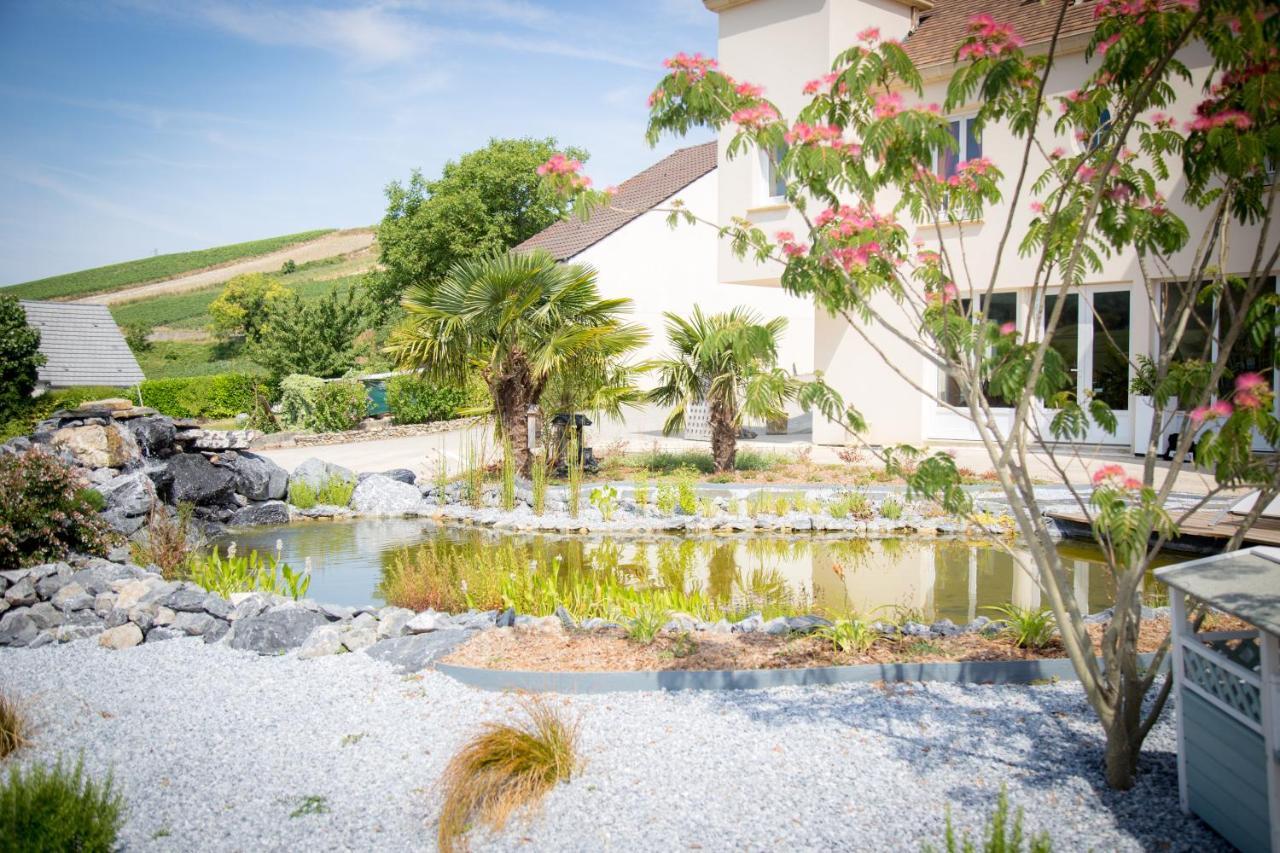 Domaine Bacchus Bed and Breakfast Reuil-sur-Marne Buitenkant foto